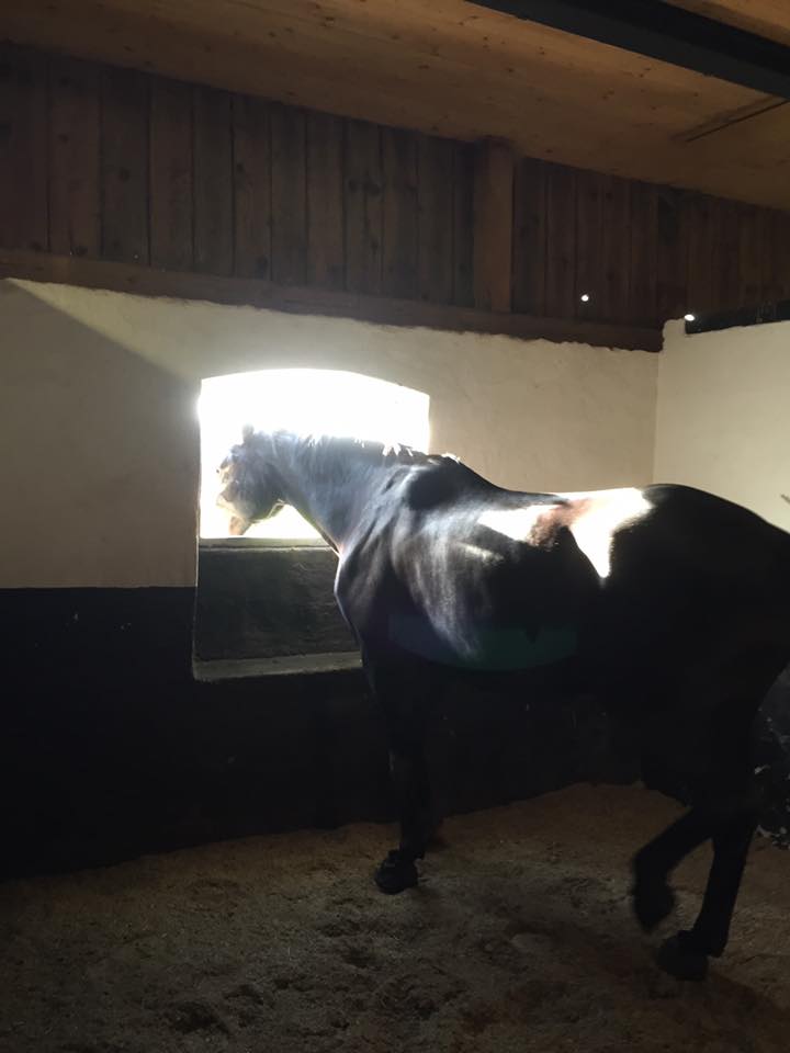 14495503_10153971333792965_7927359750444522109_n