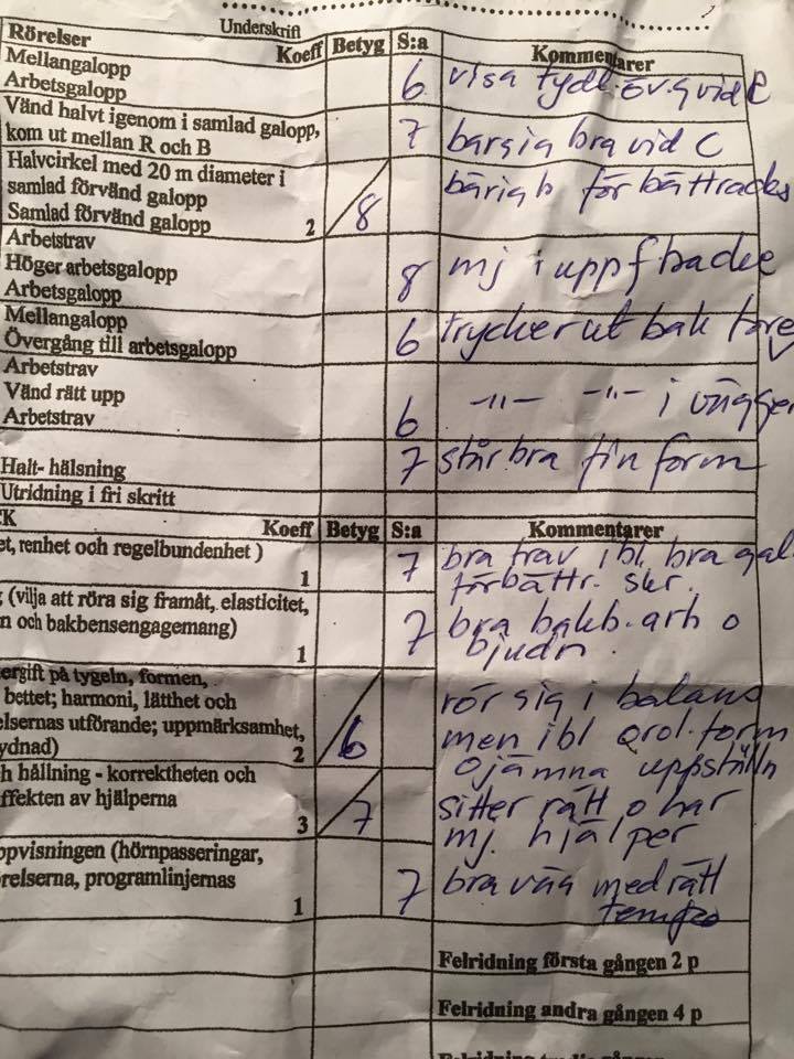 14800708_10154020601017965_1532014570_n