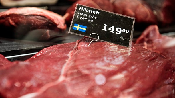 ha%cc%88stko%cc%88tt