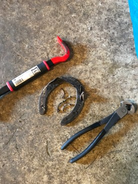 57762483956__EB652DE6-00AF-40DC-817E-6D22BE48939F