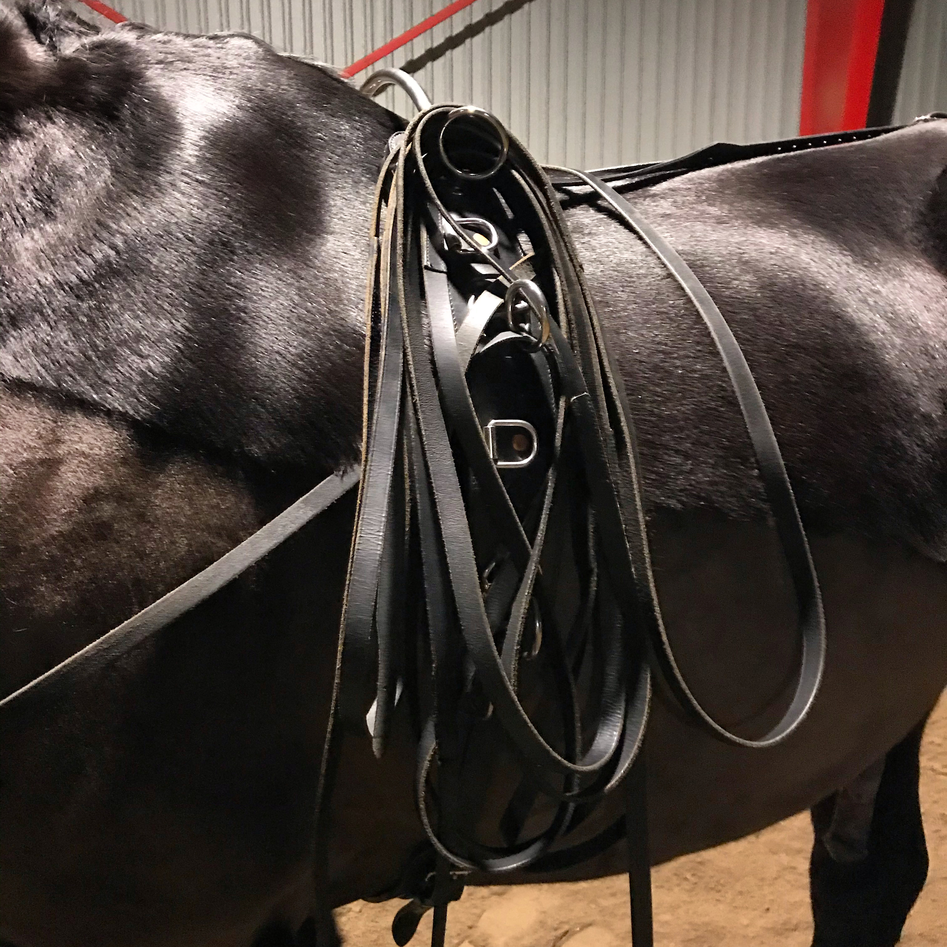 7C72D162-2032-47D3-9E26-AA3954CB0F8E 2